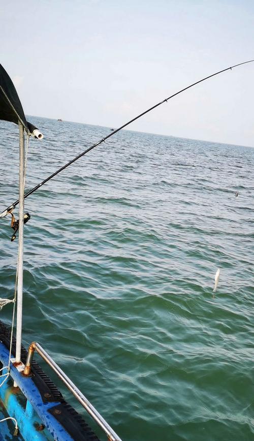 风浪中的钓鱼技巧（以风大浪大钓鱼的诀窍及经验分享）