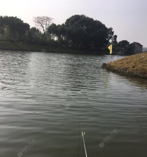 钓鱼技巧（突破风浪）