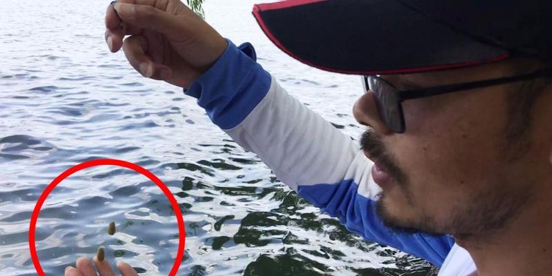 风浪中钓鱼调漂小技巧（应对风浪中的钓鱼难题）