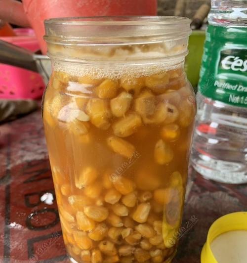 蜂蜜玉米钓鱼技巧（甜蜜无比的诱惑）