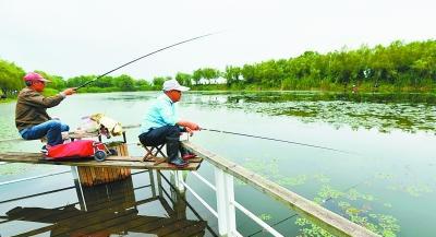 凤泉湖钓鱼技巧教学（掌握湖中鱼儿的心思）