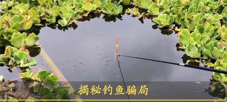 坑塘钓鱼的高级技巧（一招鲜）