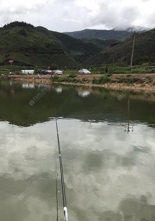 坑塘钓鱼的高级技巧（一招鲜）