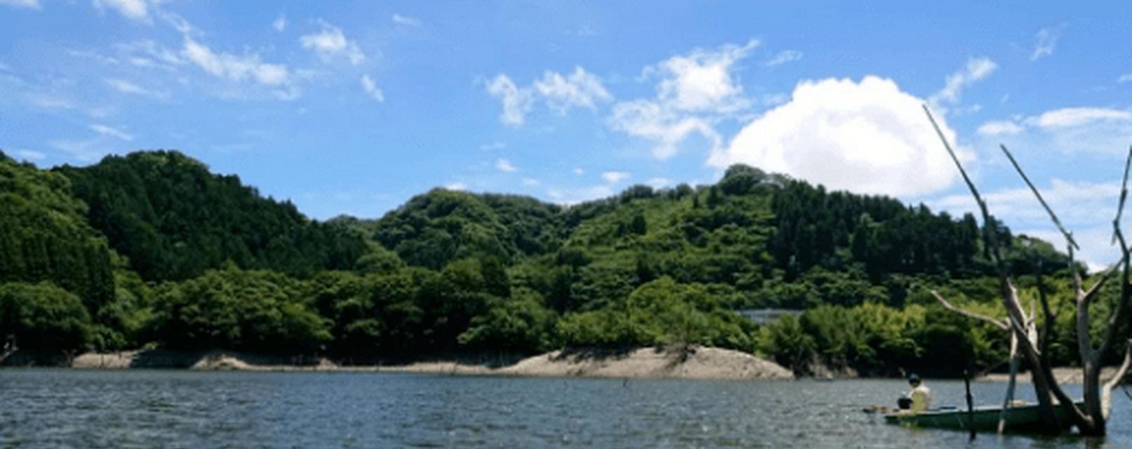夏季钓鱼技巧与注意事项（以伏天钓鱼有何需要注意的技巧和要点）