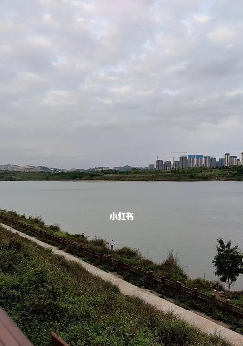 南庄钓鱼技巧大揭秘（掌握南庄钓鱼诀窍）