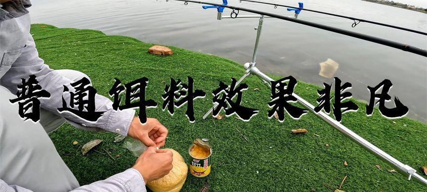 浮钓白条钓鱼的技巧（掌握浮钓技巧）