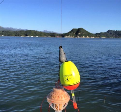 探秘浮钓技巧与心得（让你的钓鱼技术更上一层楼）