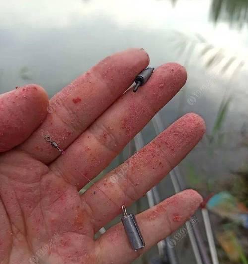 浮钓挂蚯蚓钓鱼技巧（掌握正确技巧）