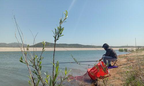 浮钓与底钓的方法与技巧（探索不同钓法的共通之处及关键技巧）