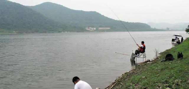 浮漂湖泊野钓技巧（掌握浮漂湖泊钓鱼的窍门）