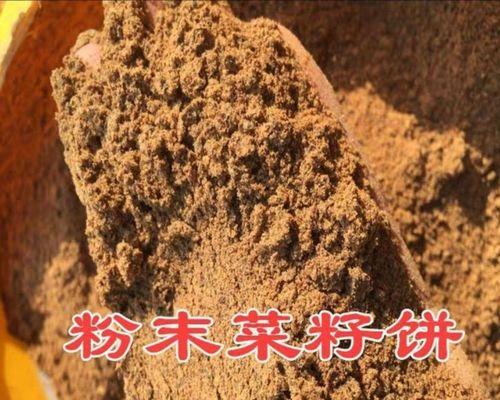 瓜果蔬菜钓鱼技巧（钓鱼达人分享的瓜果蔬菜钓鱼经验）