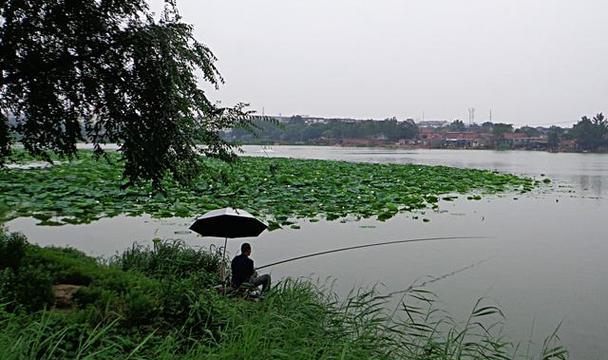 春天钓鱼技巧大全（探寻春季钓鱼的窍门）