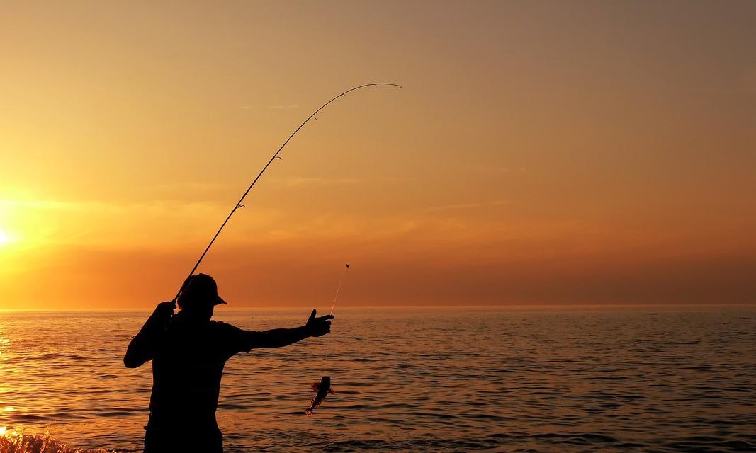 夏季钓鱼的技巧与经验（挑选合适的鱼饵）