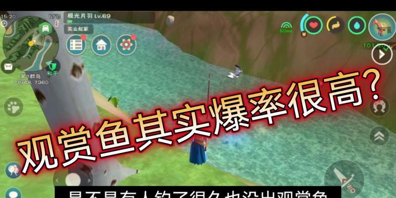 观赏鱼钓鱼技巧大揭秘（大师级教程带你成为高手）