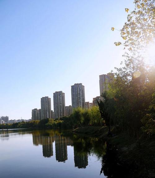 观音湖钓鱼技巧教程（掌握湖中鱼群分布）