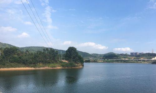 《官井头水库钓鱼技巧大全》（钓鱼达人分享的官井头水库钓鱼心得与技巧）