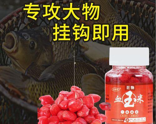 广东春季玉米钓鱼技巧（玉米钓鱼）