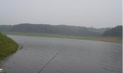 广西黄田水库钓鱼技巧大全（掌握黄田水库钓鱼技巧）