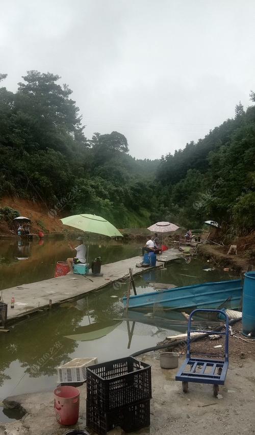 广西人钓鱼技巧大揭秘（掌握这一关键技巧）