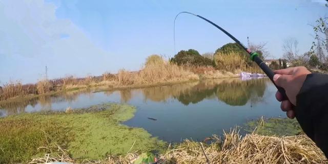 广西水库冬天钓鱼技巧与方法（冬季水库钓鱼技巧解析）