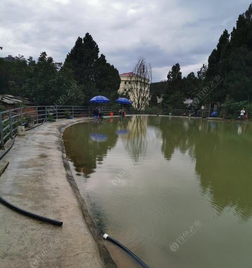 广元钓鱼钓法技巧（提高钓鱼成功率的秘诀）