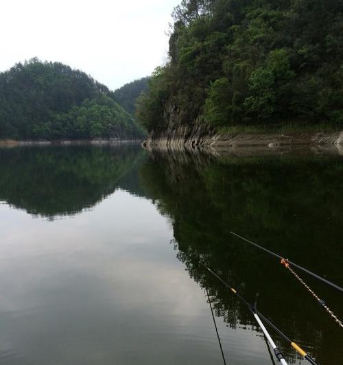 贵阳湖钓鱼技巧（探秘贵阳湖的丰富钓鱼技巧）