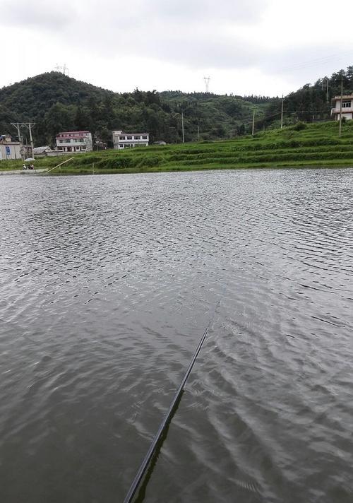 贵阳湖钓鱼技巧（探秘贵阳湖的丰富钓鱼技巧）