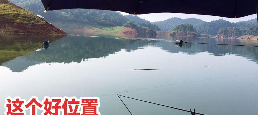 贵州闷竿钓鱼技巧（玩转贵州闷竿钓鱼）