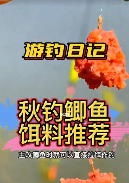 贵州秋冬季钓鱼技巧（掌握正确的技巧）