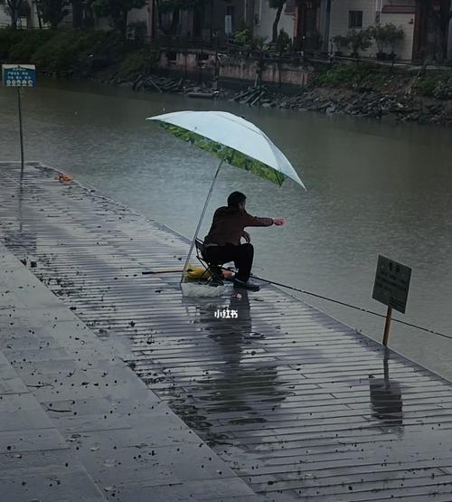 国庆节下雨钓鱼技巧（在雨中垂钓）