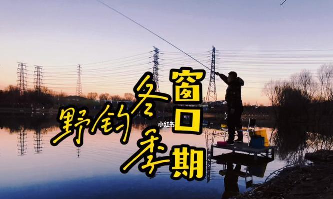 哈尔滨冬天钓鱼技巧（冬季钓鱼的秘诀和技巧）
