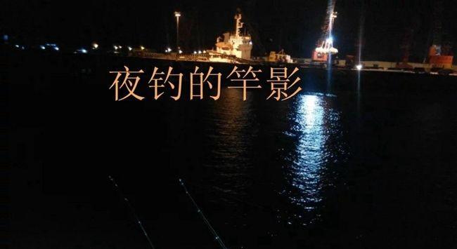 夜钓技巧大揭秘（海岸矶钓专家教你成功的关键）