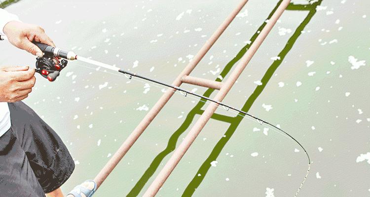 海边筏竿钓鱼技巧（掌握技巧）