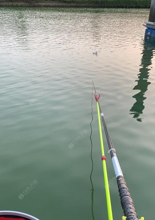 海边港口钓鱼技巧（掌握技巧）