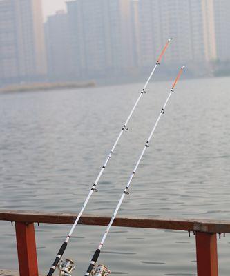 海边钓鱼的技巧与经验（提升你的海竿钓鱼水平）