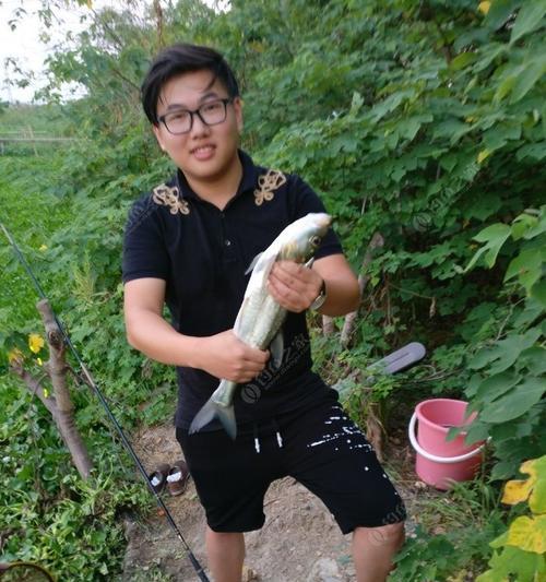 海边活虾钓鱼技巧（钓鱼达人分享实用经验）
