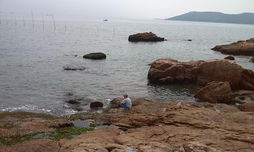 海边焦石钓鱼技巧（掌握这些技巧）