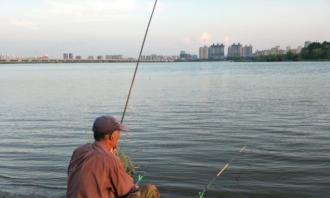 海边浪大钓鱼技巧（掌握技巧享受丰收）