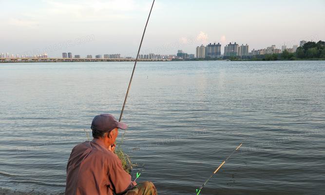 海边石头钓鱼的技巧与方法（掌握关键技巧）