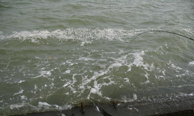 海边石头洞钓鱼技巧（探秘石头洞下的丰富渔获乐趣）