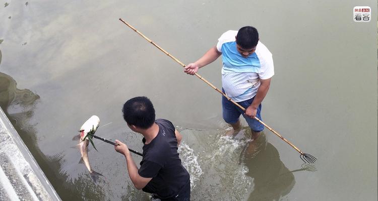 海边小水渠钓鱼技巧（钓鱼秘籍）