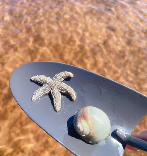 海滨赶海钓鱼技巧（掌握这些技巧）