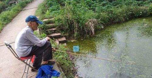 海滨小水坑钓鱼技巧（钓鱼爱好者必备的技巧和经验分享）