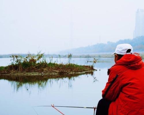 河里水浅时的钓鱼技巧（浅水捕鱼）