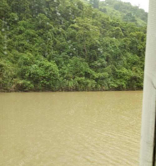 雨中垂钓的技巧与方法（如何在河里下雨时提高钓鱼成功率）