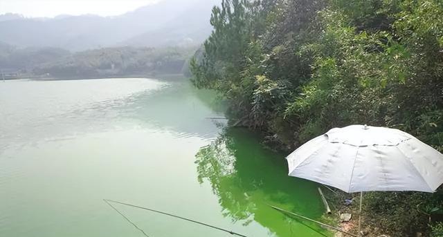 野钓技巧（钓位选择）