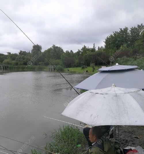 河水涨潮，掌握钓鱼技巧（河里涨水天钓鱼技巧分享）