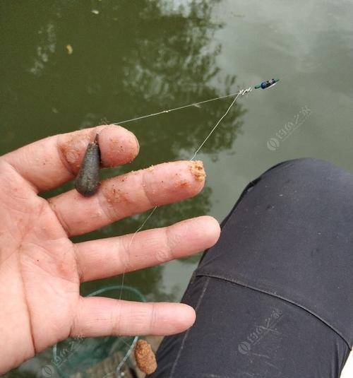 河中钓鱼技巧大揭秘（以河里走水钓鱼）