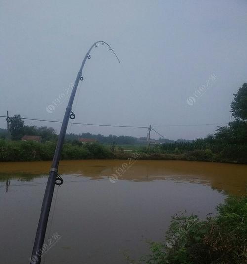 河流钓鱼的方法和技巧（掌握流水中的捕鱼秘诀）