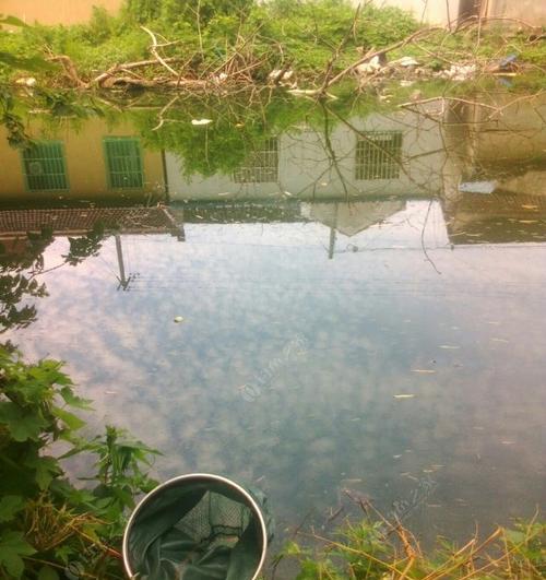 河流肥水钓鱼技巧（掌握好技巧）